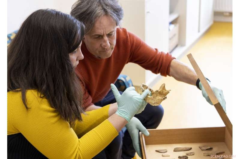 Ancient DNA Reveals Interbreeding Between Human Species | University of Vienna