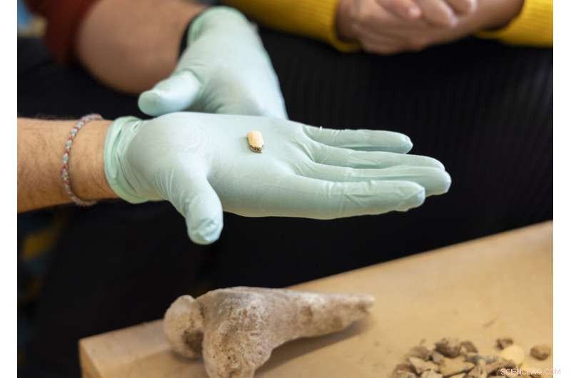 Ancient DNA Reveals Interbreeding Between Human Species | University of Vienna