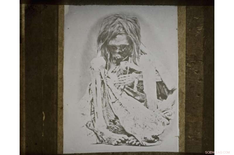 Inca Sacrifices: Evidence of Drug Use in Children Before Rituals