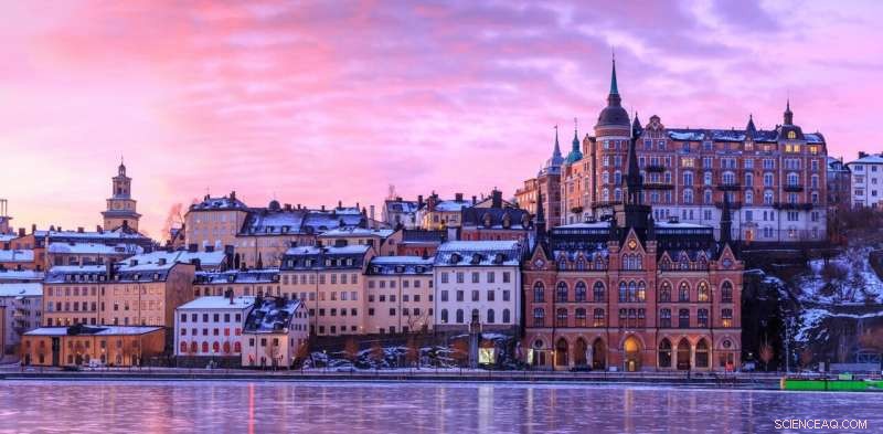 Swedengate: Exploring Swedish Food Culture and Dinner Expectations for Guests