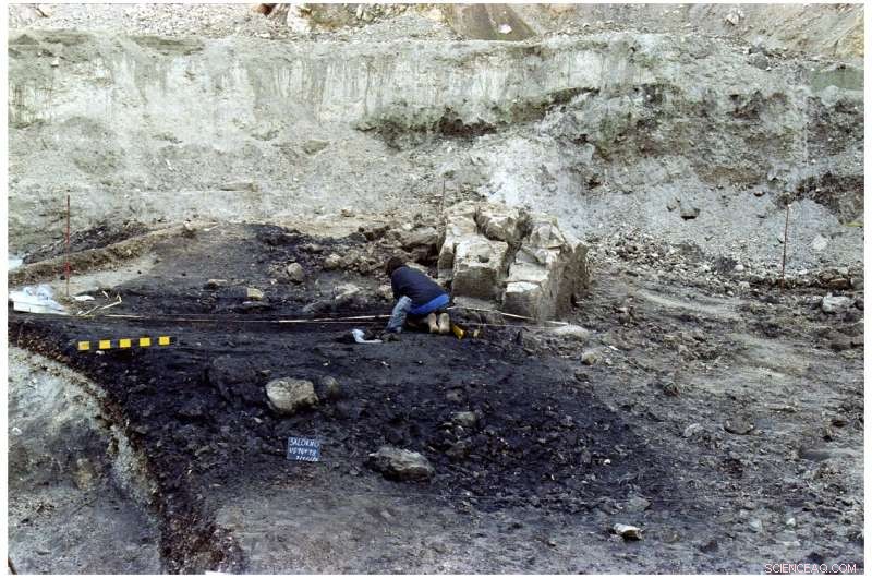 Ancient Bronze Age Cremation Site Unearthed in Italy