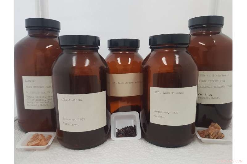 X-ray Analysis Reveals Secrets of Aboriginal Australian Cultural Heritage in Ancient Plant Samples