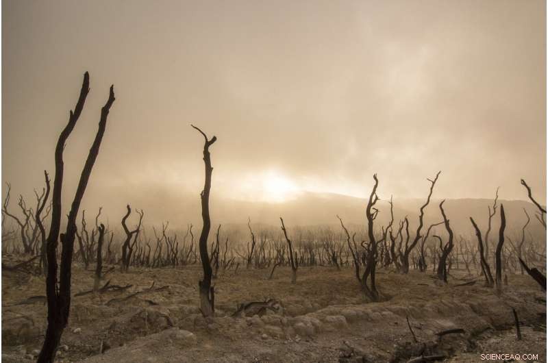 Reddit Climate Discussions: Evidence of Deliberative Debate, Not Echo Chambers