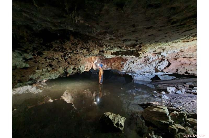 New Cave Mussel Species Discovered in the Americas