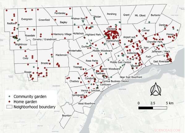 Urban Gardens in Detroit: No Gentrification Risk? Research Findings