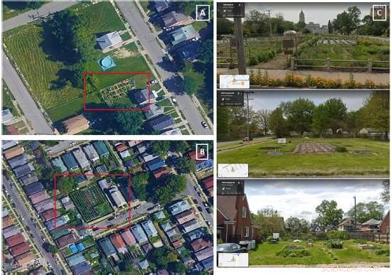 Urban Gardens in Detroit: No Gentrification Risk? Research Findings