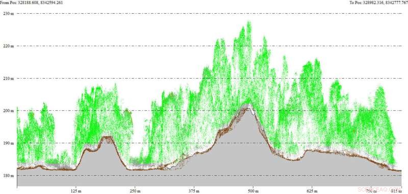 Ancient Urban Centers Discovered in the Amazon