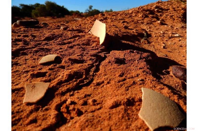 Ancient Proteins Reveal Early Australians Ate Giant Bird Eggs