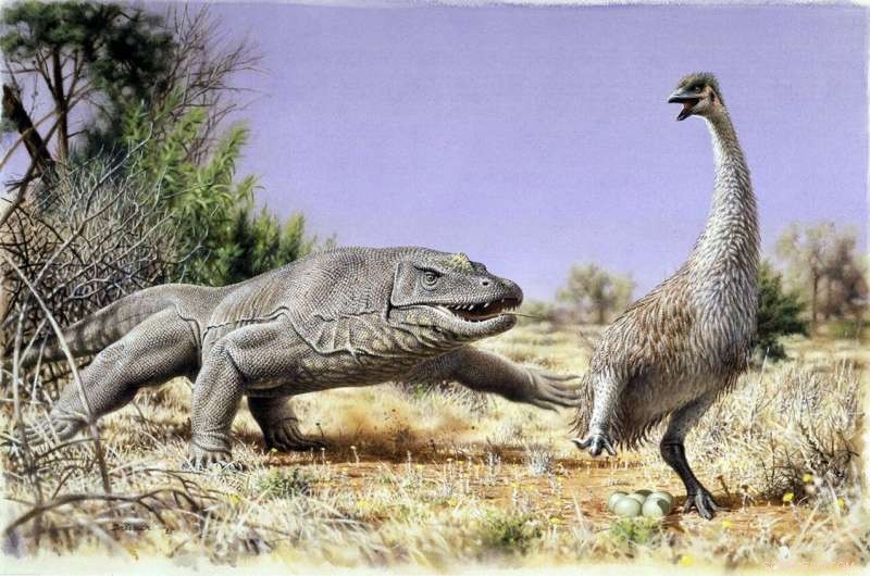 Ancient Proteins Reveal Early Australians Ate Giant Bird Eggs