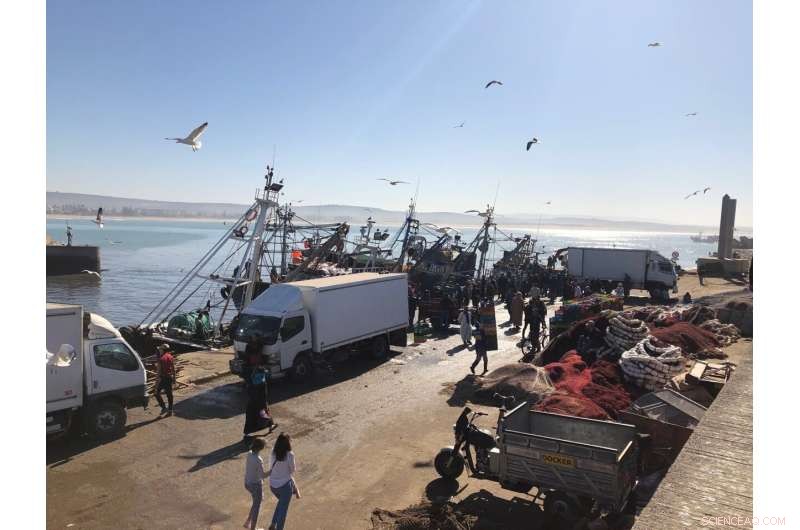 How Global Fishing Impacts Malnutrition & Food Security