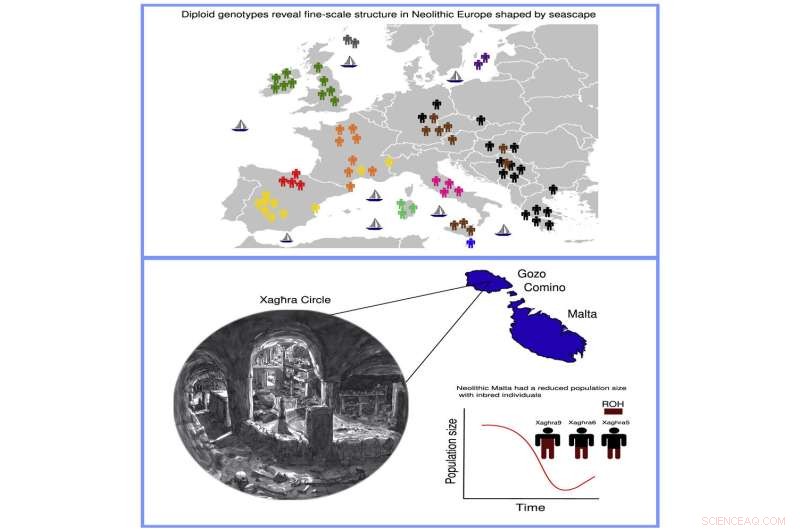 Ancient Sea Travel s Impact on European Genetic Diversity