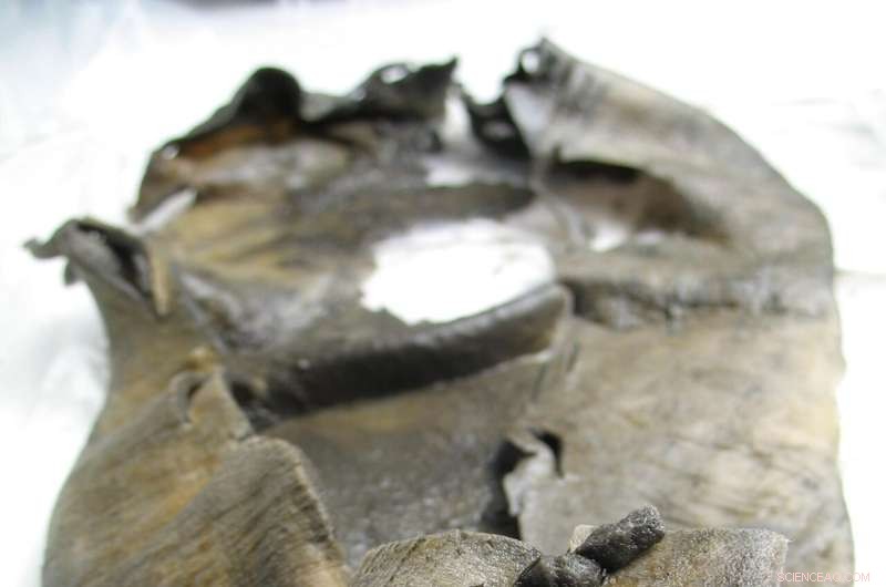 Ancient Bronze Age Artifacts Unearthed from Melting Norwegian Ice