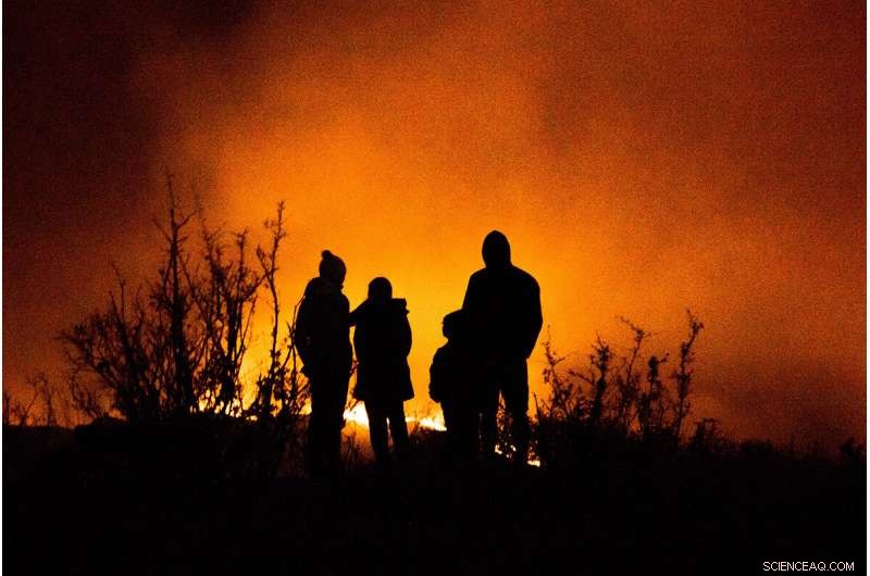 Climate Change in Canada: Economic Costs & the Path to Net Zero