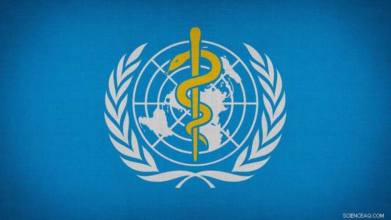 Lobbying Influence on WHO: Concerns for Public Health Policy