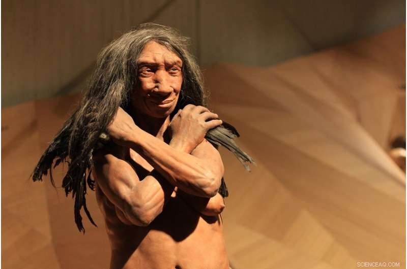 Re-evaluating Human Evolution: Beyond Homo Sapiens - The Toolmaker Within