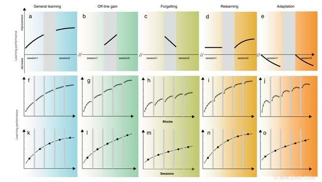 Understanding Perceptual Learning: A New Multicomponent Model