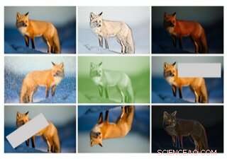 Understanding Variability s Impact on Machine Learning Performance