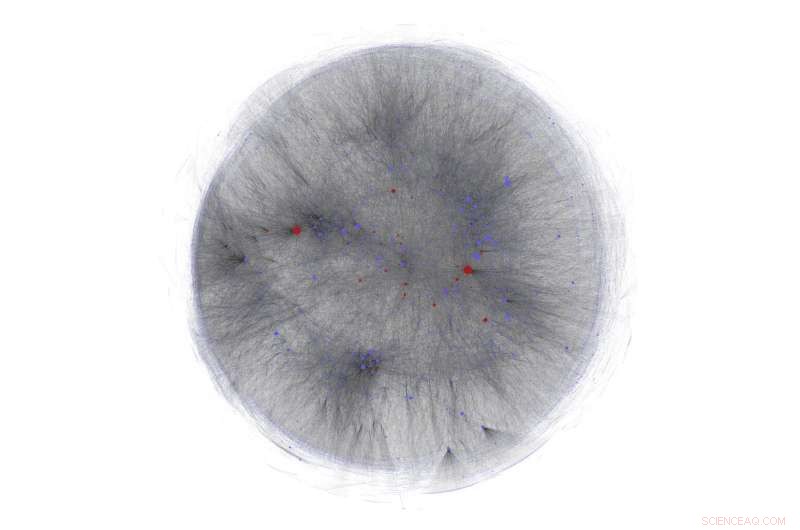 Predicting Supply Chain Disruptions: A Comprehensive Economic Mapping of Hungary