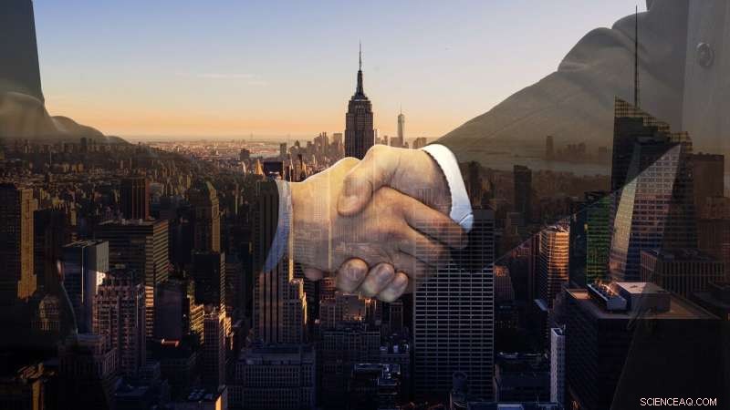 Machiavellianism in Corporate Alliances: A Study in Strategic Partnerships