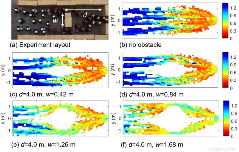 Understanding Pedestrian Congestion: The Role of Walking Speed