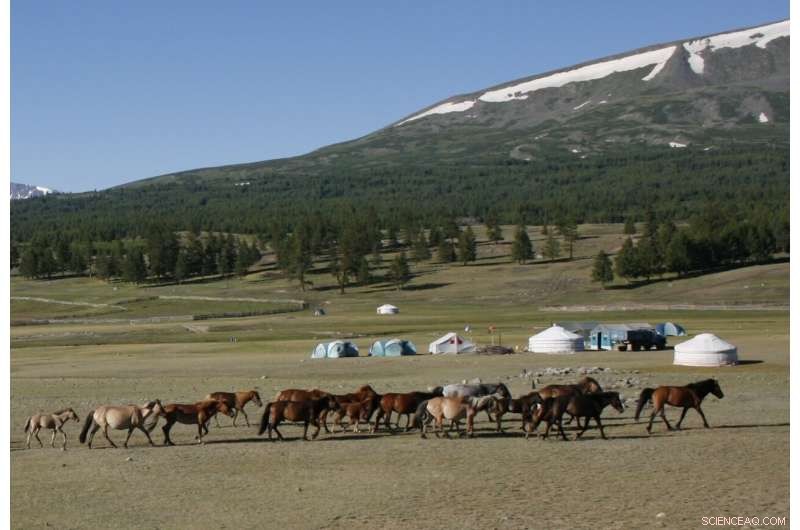 Ancient Mongolian Societies Transformed by Livestock and Horse Herding