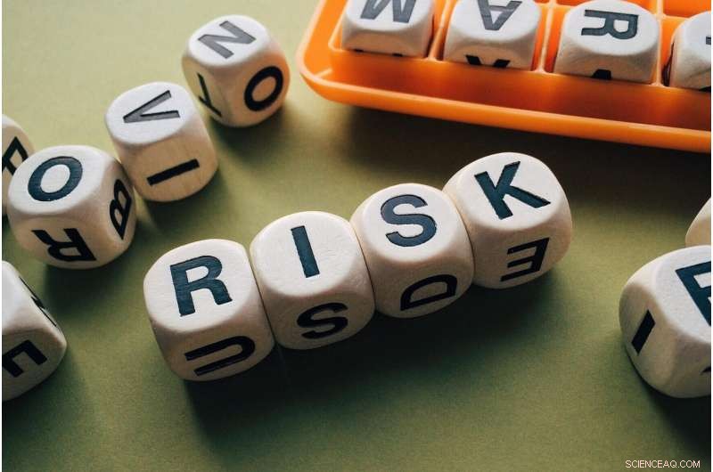 The Psychology of Risk-Taking: Learning from Others  Choices