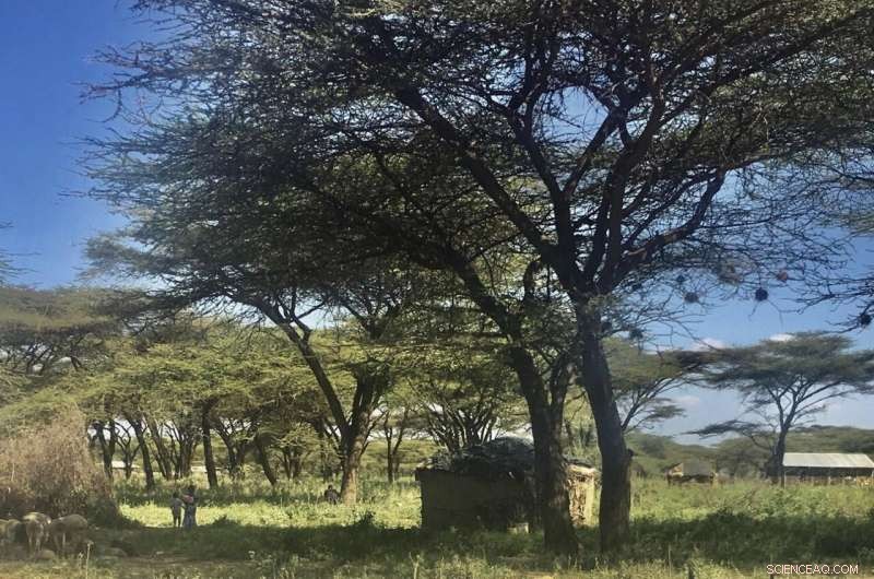 Climate Change & Conflict in East Africa: The Impact on Pastoralist Communities