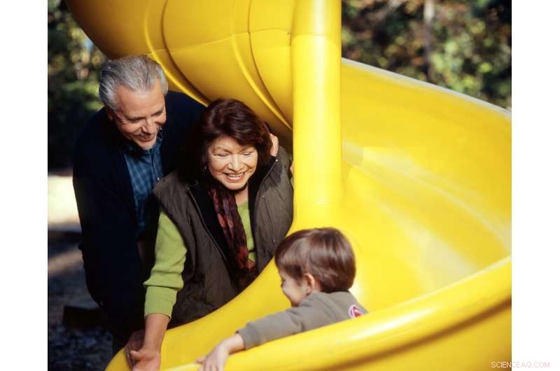 The Link Between Trust and Happiness: A Sociological Perspective