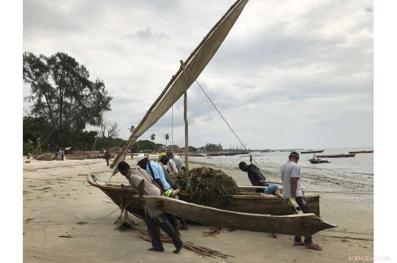 East African Boatbuilding Traditions: A New Academic Study