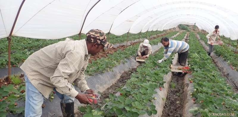 Photovoice: Empowering Migrant Workers to Share Their Stories