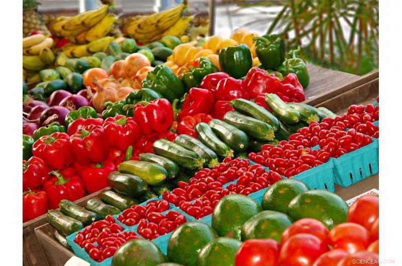 Rising Food Costs: How Families Are Cutting Back & What to Do