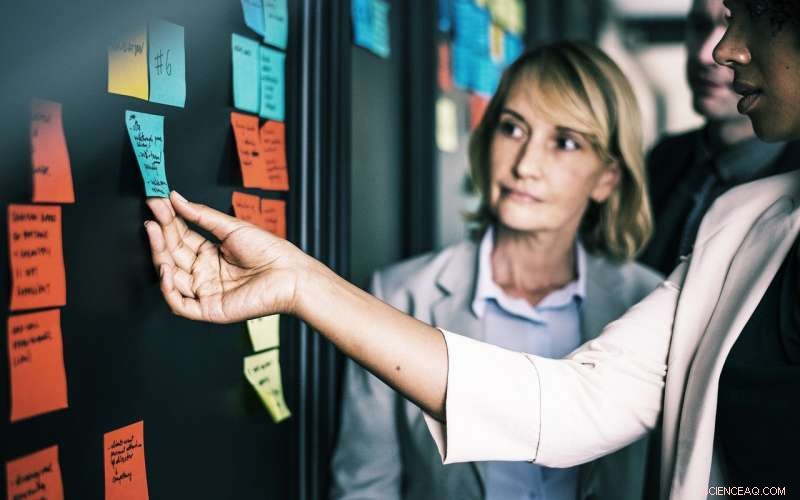 The Impact of Work-Study Programs on Human Capital Development