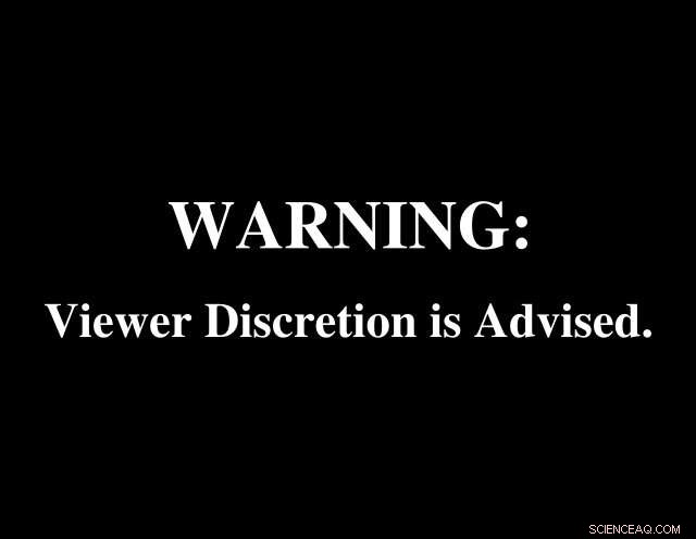 Standardized Trigger & Content Warnings: A New Language for Enhanced Audience Safety