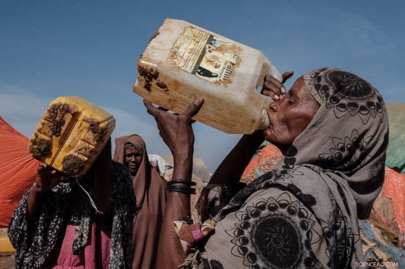 UN: Acute Hunger Reached 193 Million in 2021 – A Dire Warning