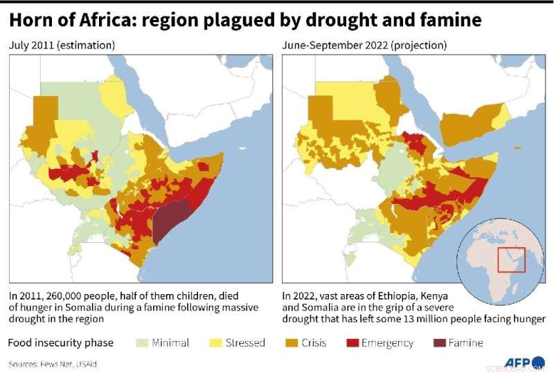 UN: Acute Hunger Reached 193 Million in 2021 – A Dire Warning
