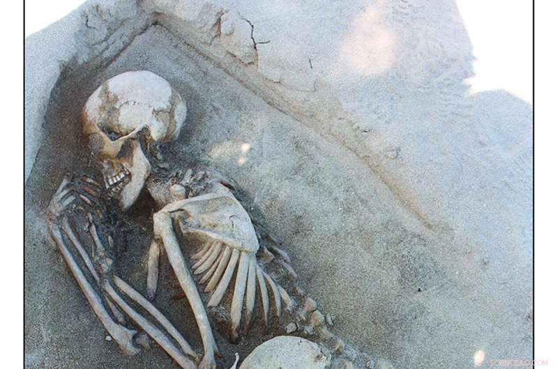 Bronze Age Orkney Cemetery Reveals Significant Migration of Women from Continental Europe