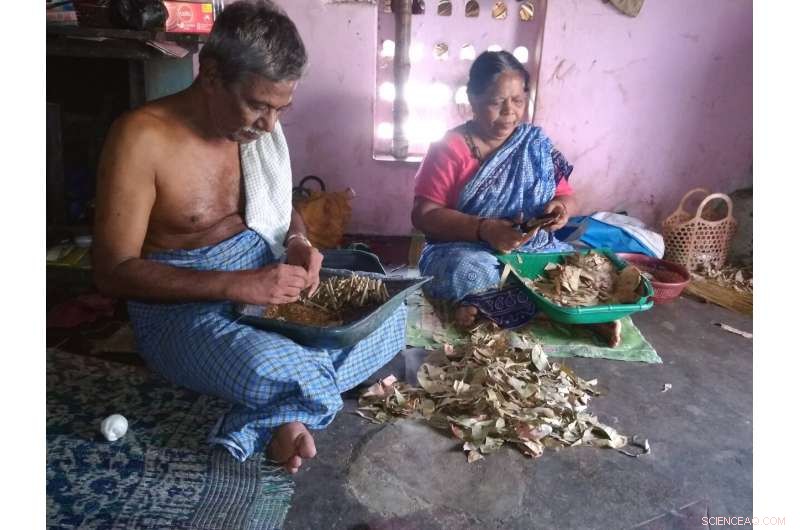 Bidi Rollers: Research Highlights Need for Alternatives in Indian Tobacco Industry