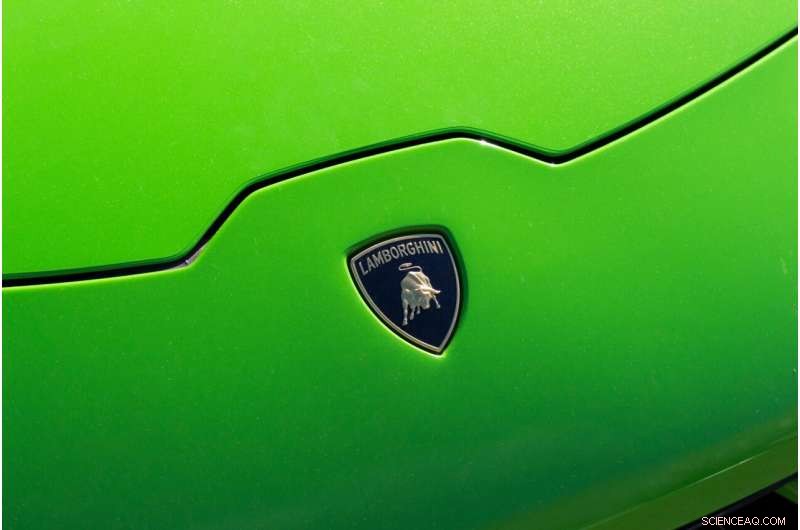 Fluid Strategies for Business Turnaround: Lessons from Lamborghini s Recovery