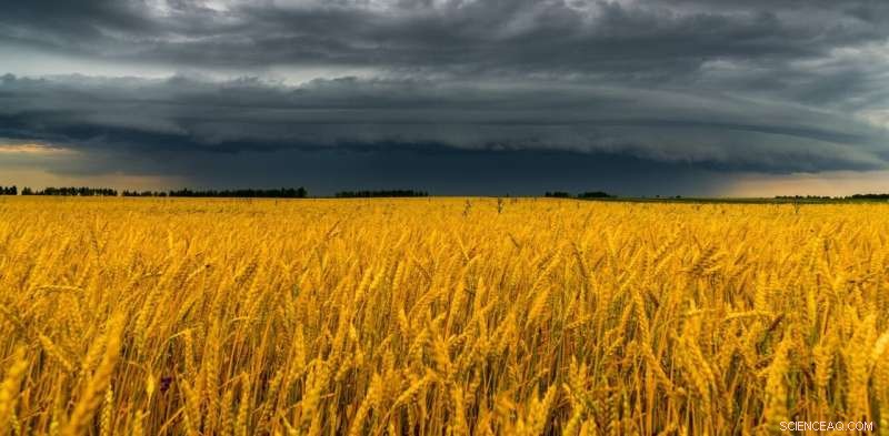 Russia-Ukraine War Exacerbates Climate-Driven Food Shortages