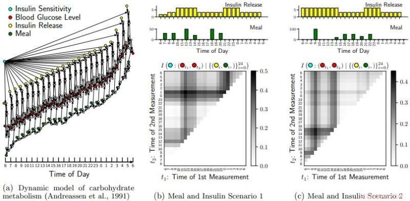 Optimizing Blood Glucose Monitoring: Estimating Informativeness for Insulin Sensitivity