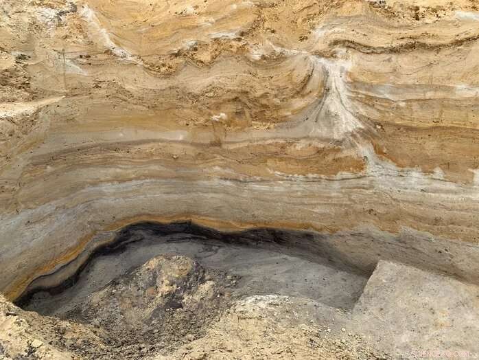 Neanderthal Adaptability: How Ancient Humans Survived Environmental Shifts