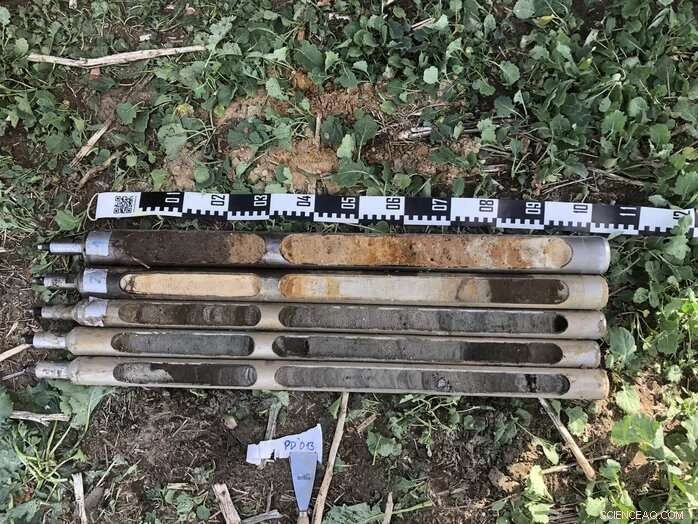 Neanderthal Adaptability: How Ancient Humans Survived Environmental Shifts