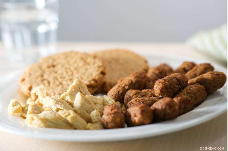 Meat Substitute Consumption: Environmental Concerns Aren t Driving Demand - University of Bonn Study