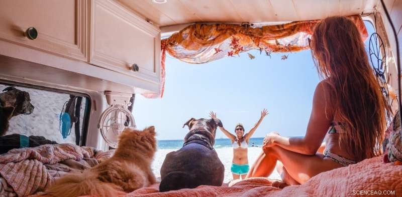 Van Life: The Rise of Mobile Living for Middle-Class Americans