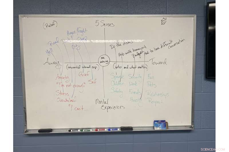 Innovative Study Reveals Promising Outcomes of Domestic Violence Programs