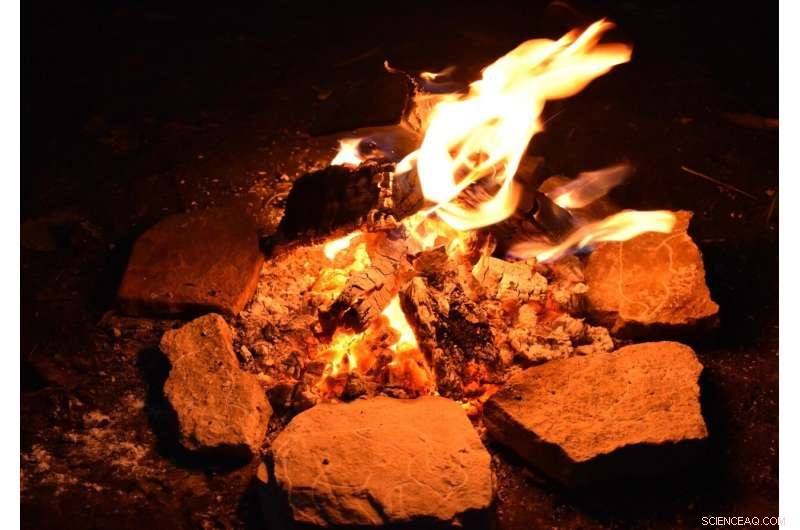 Ancient Art Understood: New Research on Prehistoric Firelight Engravings