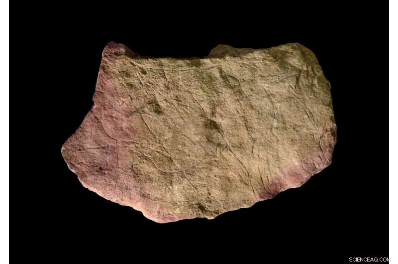 Ancient Art Understood: New Research on Prehistoric Firelight Engravings