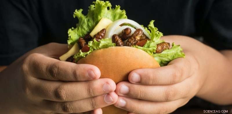 Future of Food: Exploring Plant-Based, Lab-Grown & Insect Proteins