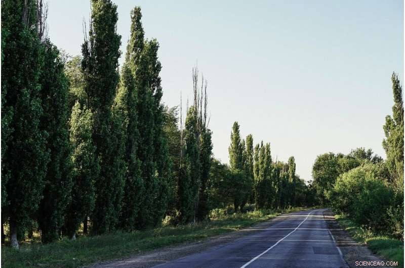 Green Spaces and Conflict: How Landscapes Were Used in Afghanistan