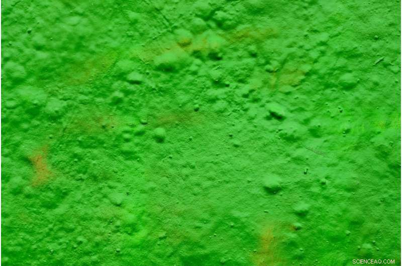 Soylent Green: A Disturbing Prediction About the Future of Food